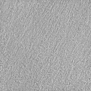 3060189--grey-s.jpg