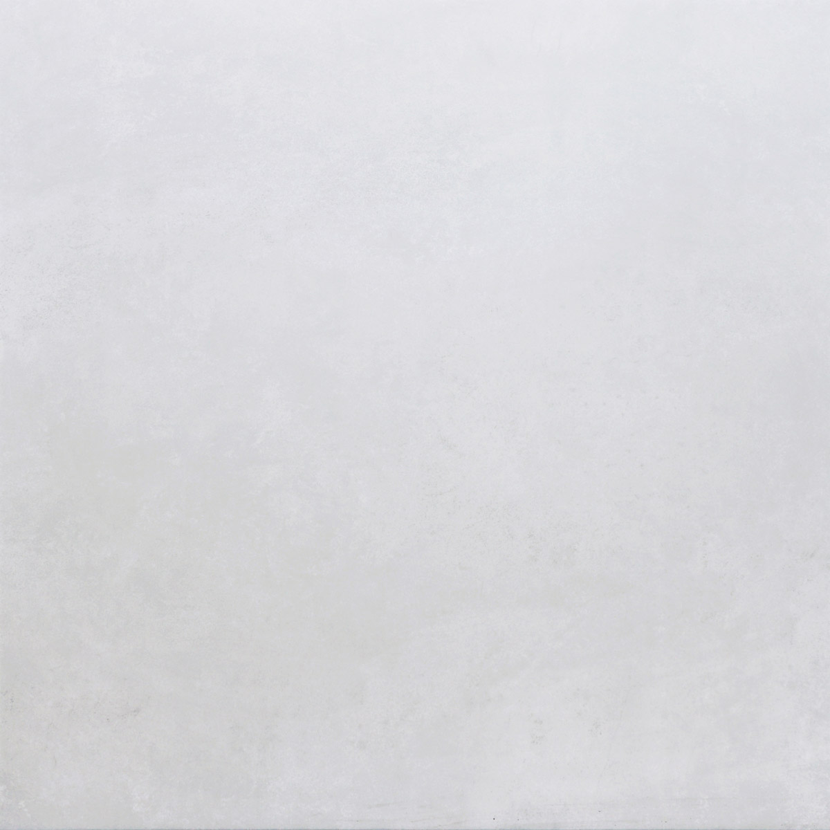 TC8081-l.jpg