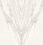 12026001AB-delight-s.jpg