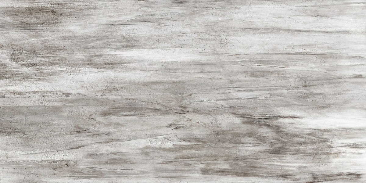 6012045-Fossil-Wood.jpg