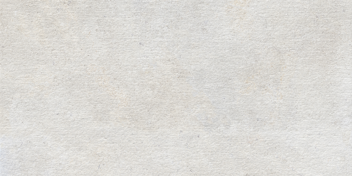 60120358STR-Coquille2.jpg