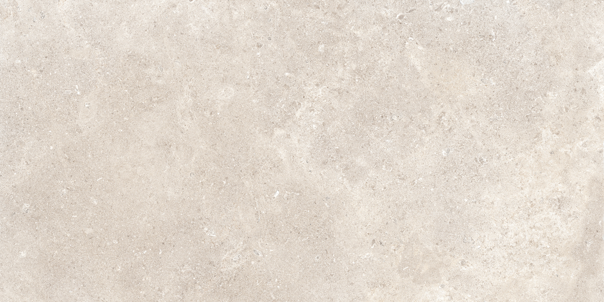 60120359-Coquille3.jpg