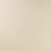 12012001-Vision-S.jpg